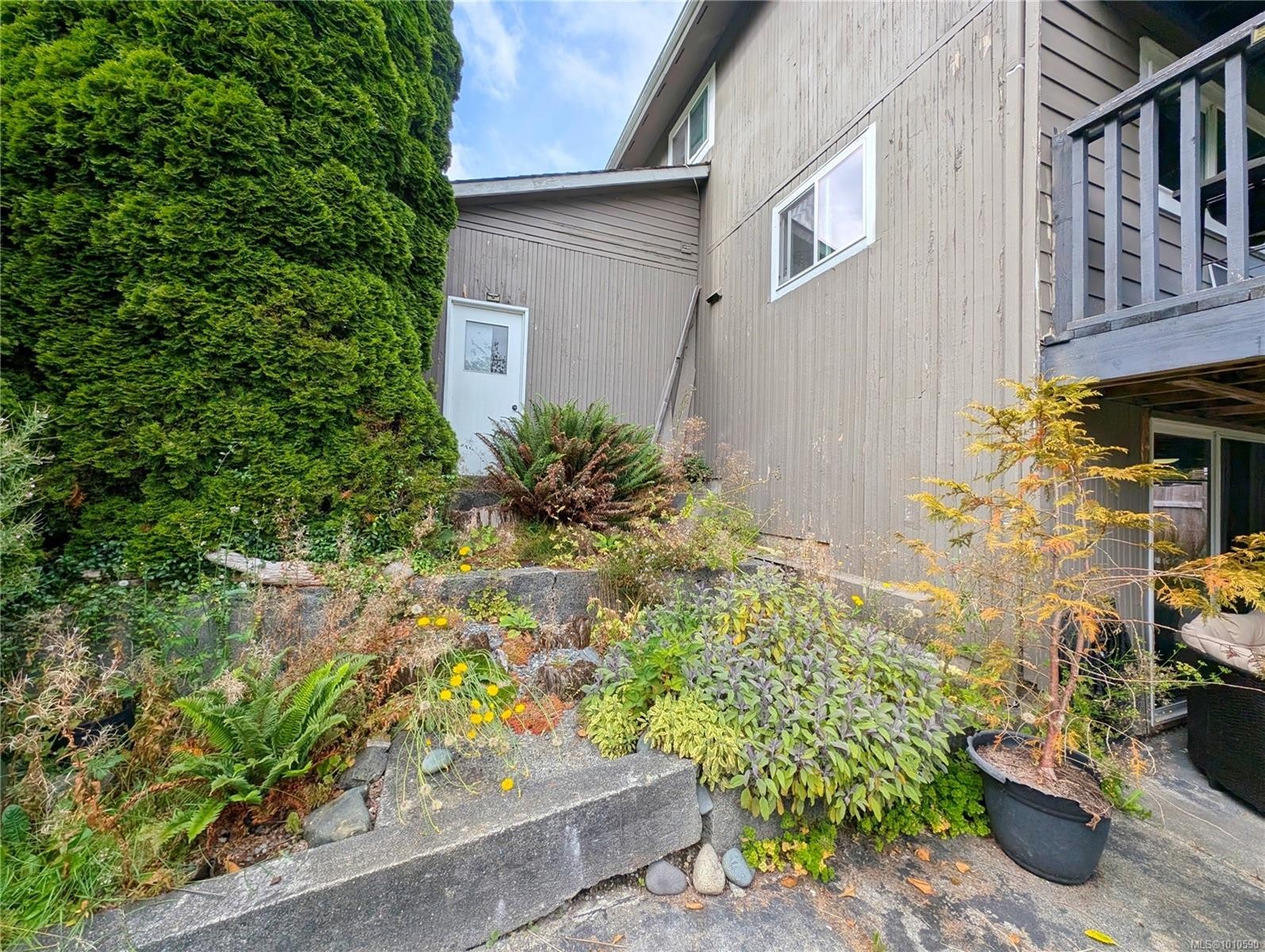 9513 Scott St, Port Hardy, BC