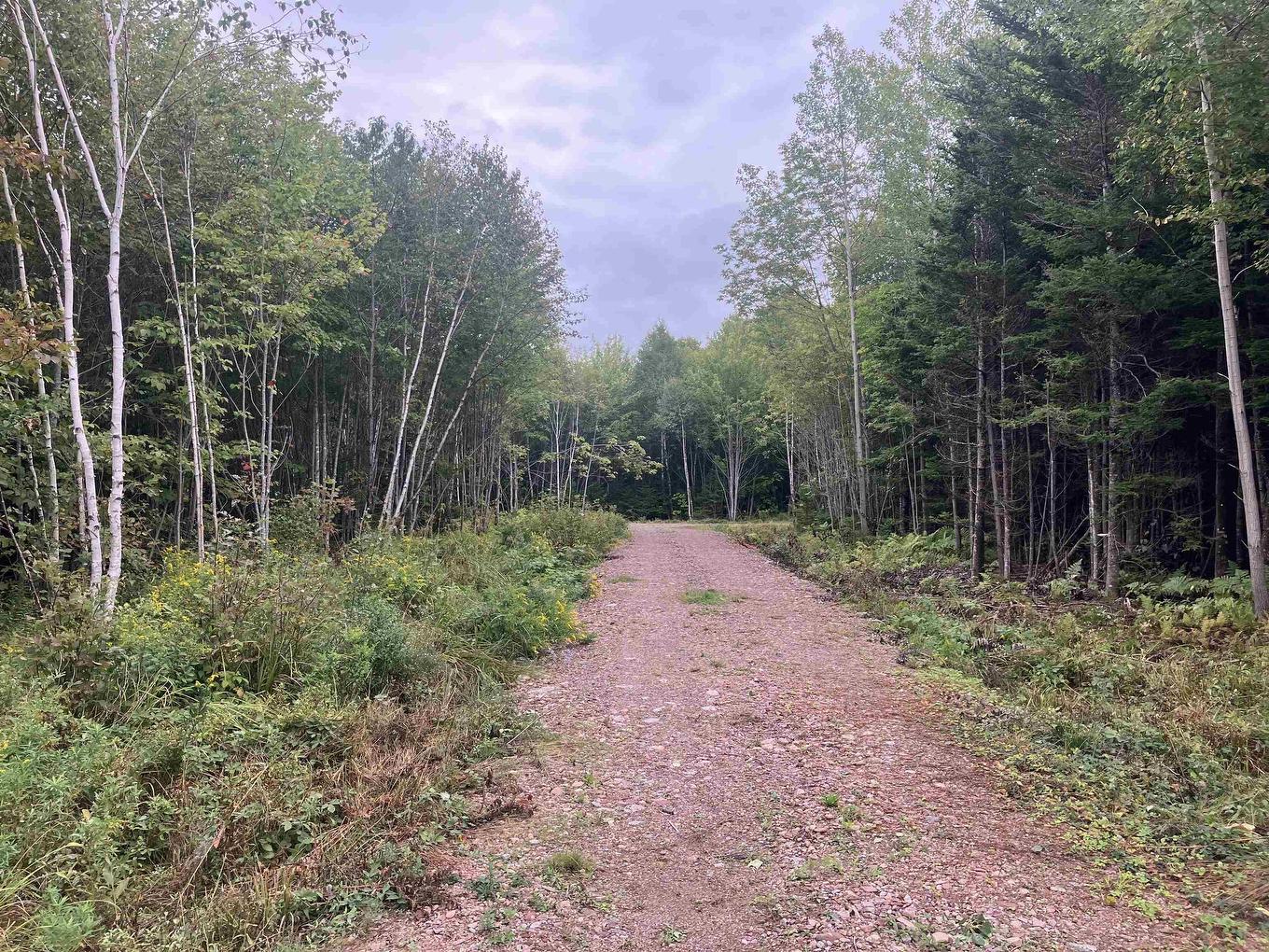 Lot 2020-5 Highway 223, Little Narrows, NS