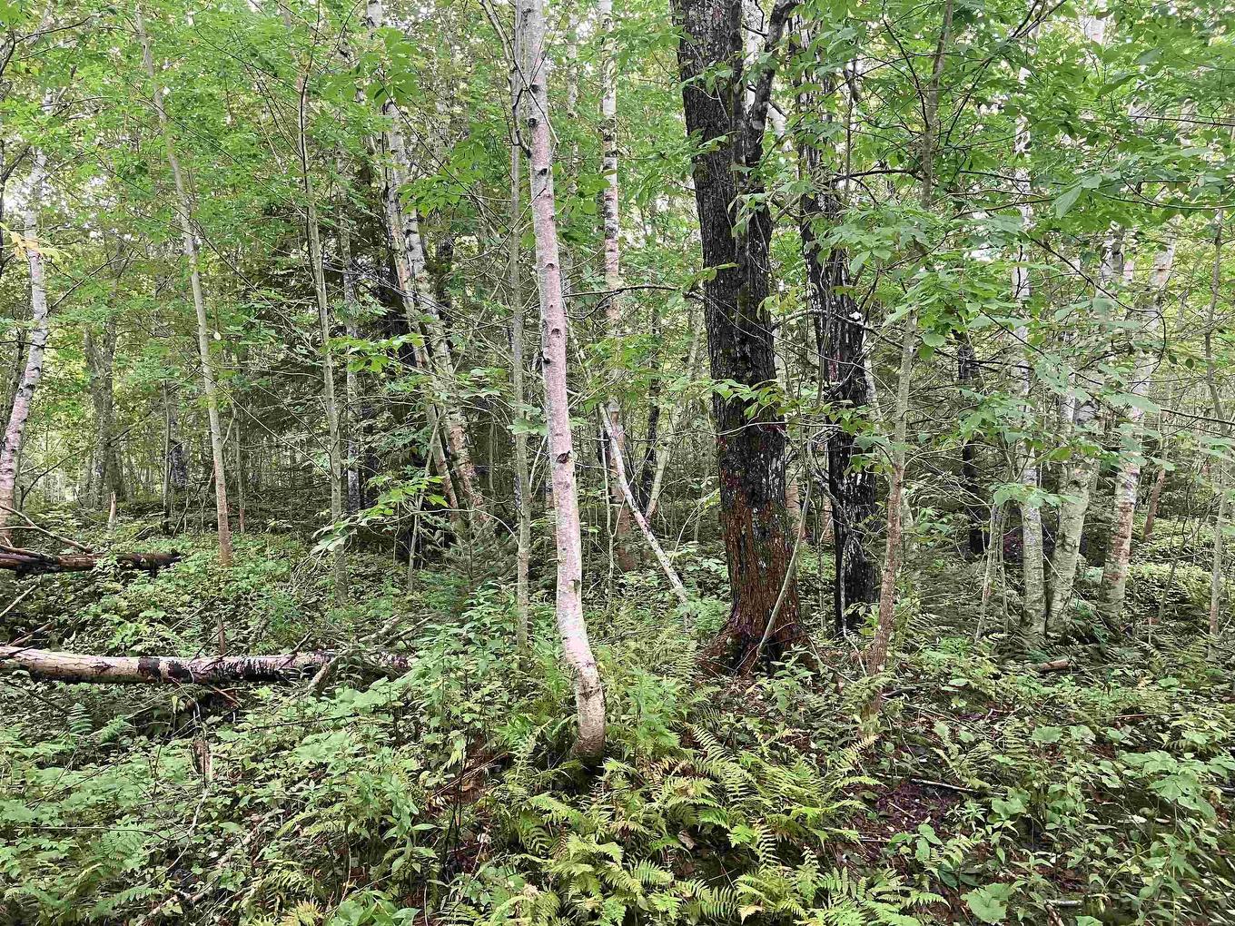 Lot 2020-5 Highway 223, Little Narrows, NS