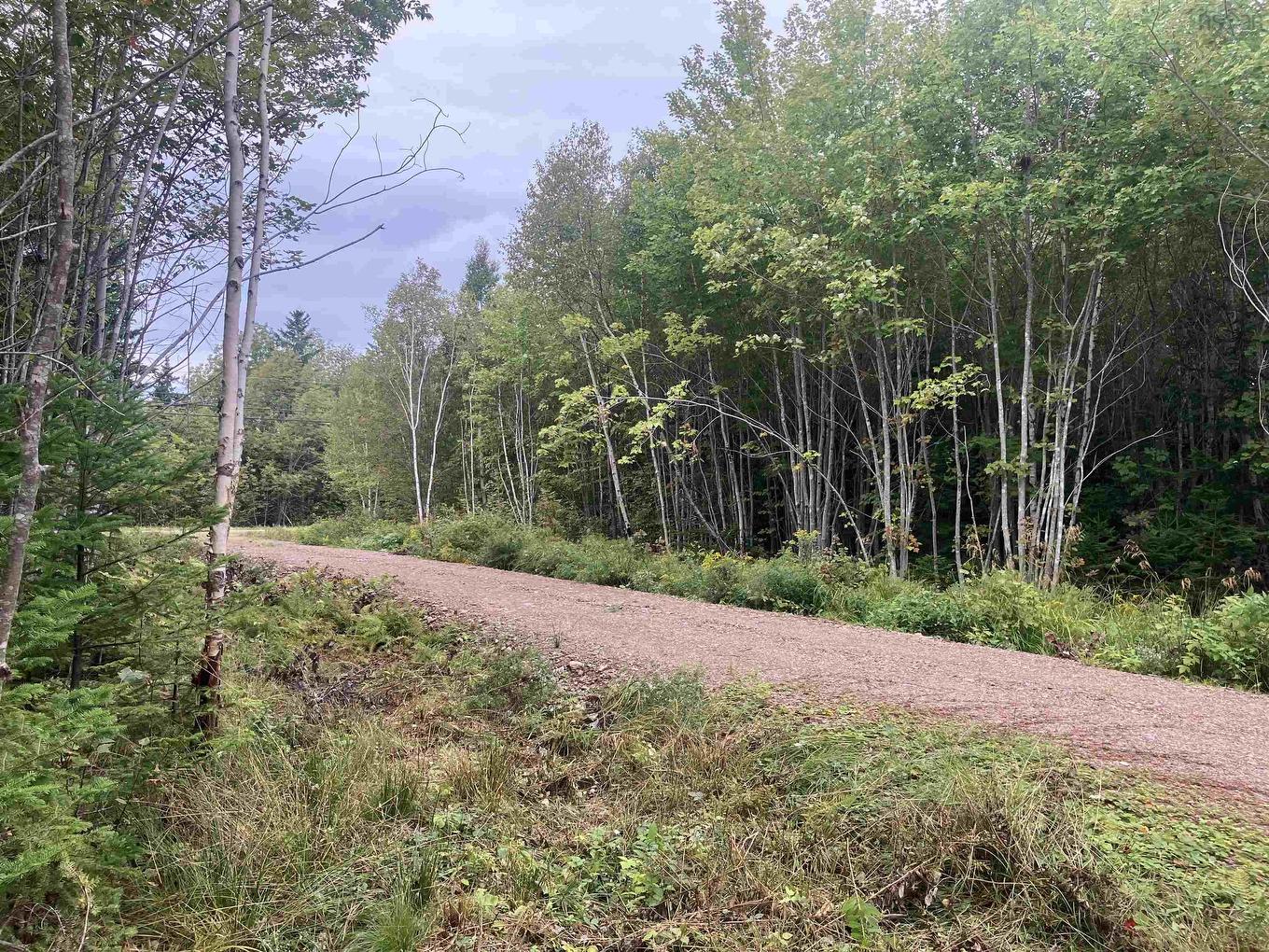 Lot 2020-5 Highway 223, Little Narrows, NS