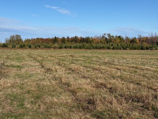 Route 12, Grand River, PE