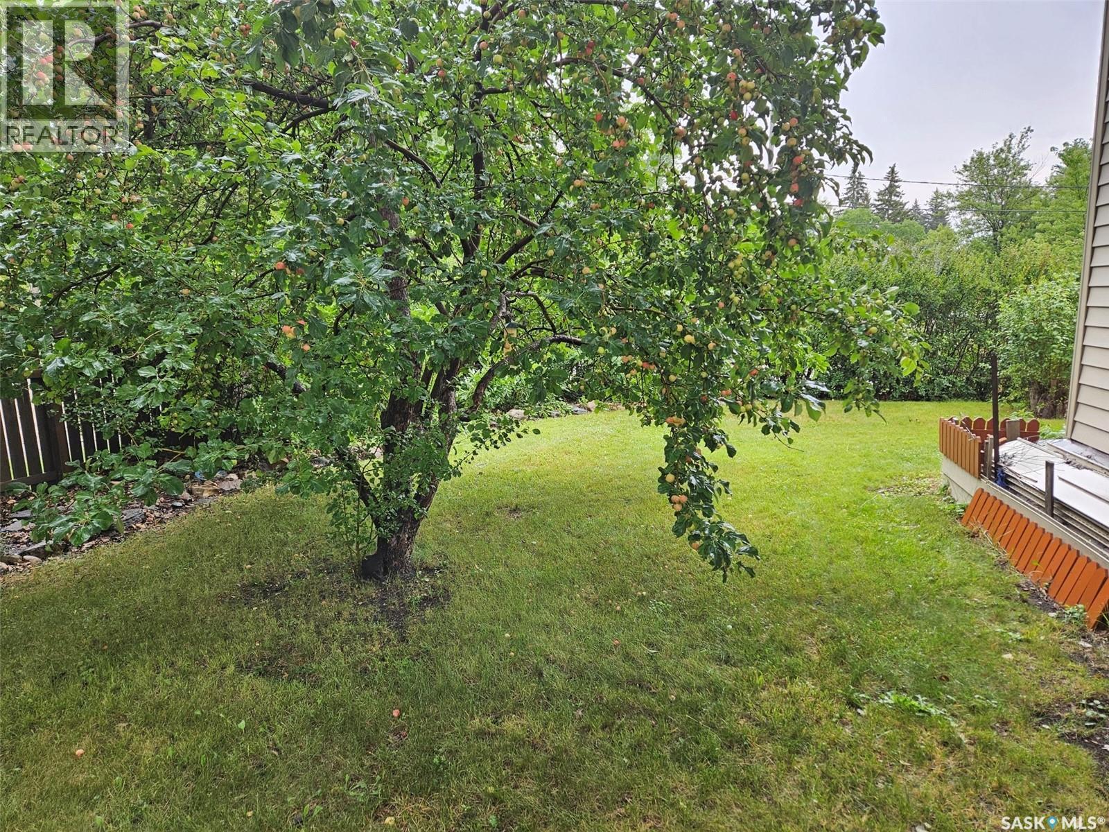 218 7Th Street W, Carlyle, SK - Outdoor