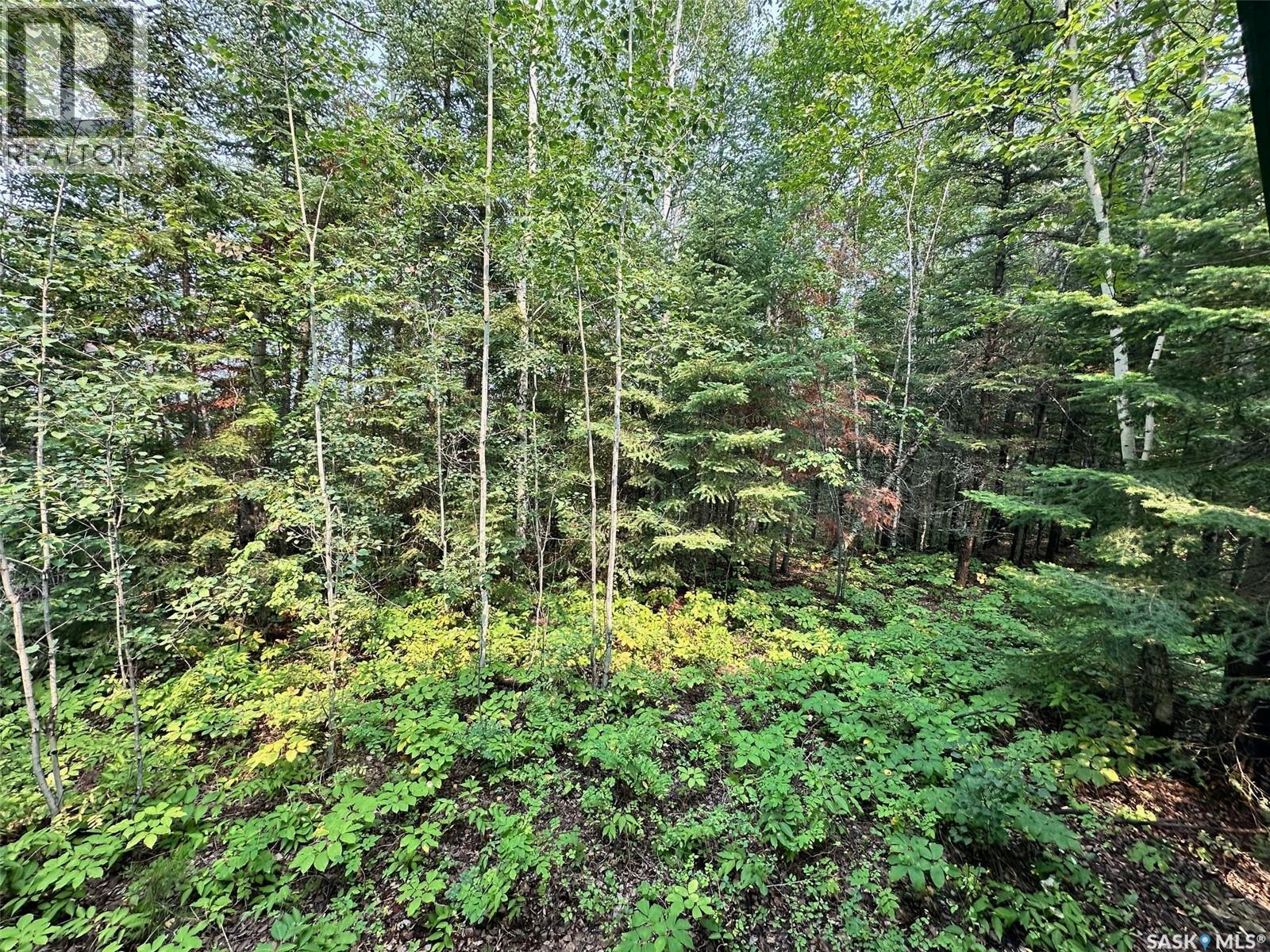 Bainbridge Cabin, Hudson Bay, SK - Outdoor