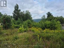 560 NEW STREET Mattawa, ON P0H 1V0