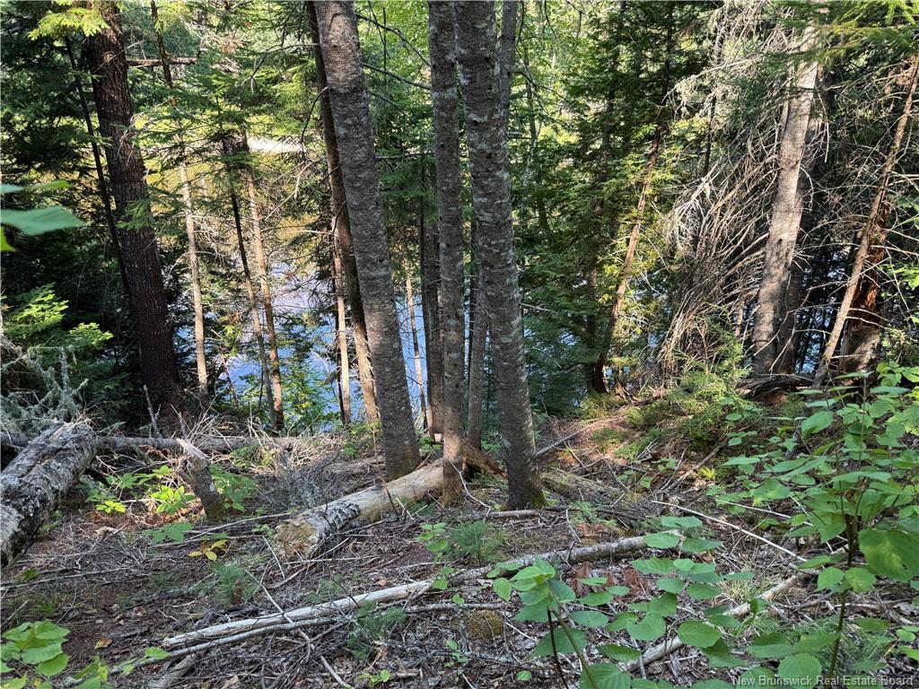 0 425 Rte, Curventon, NB