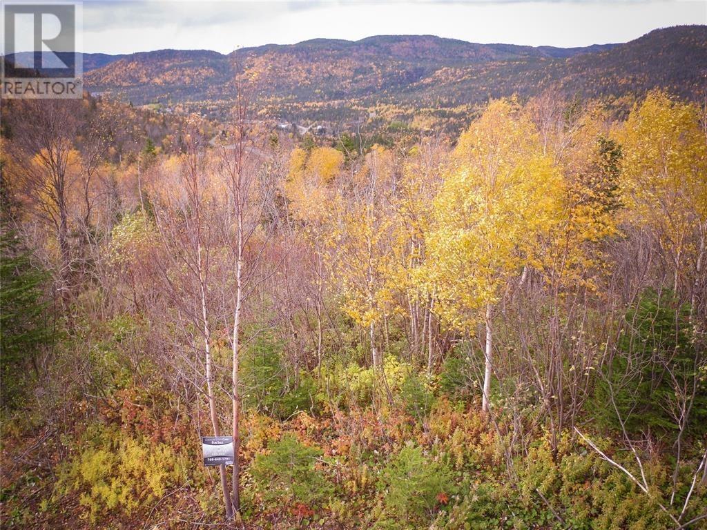 Lot 7 Adventure Drive, Hughes Brook, NL