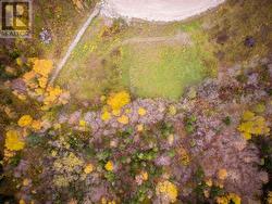 LOT 5 Adventure Drive Hughes Brook, NL A2H 4A1