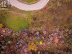 LOT 4 Adventure Drive Hughes Brook, NL A2H 4A1