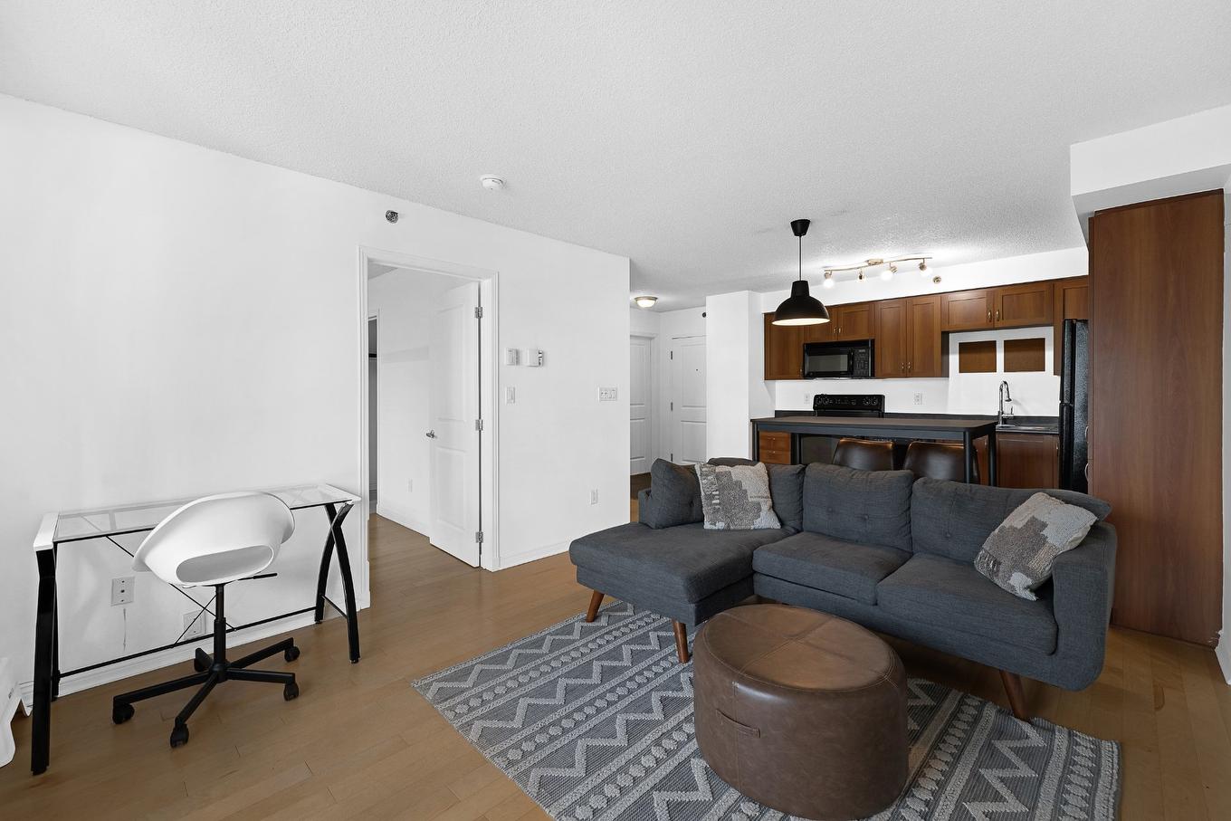 Salon - 206-1200 Rue St-Jacques, Montréal (Ville-Marie), QC - Indoor Photo Showing Living Room