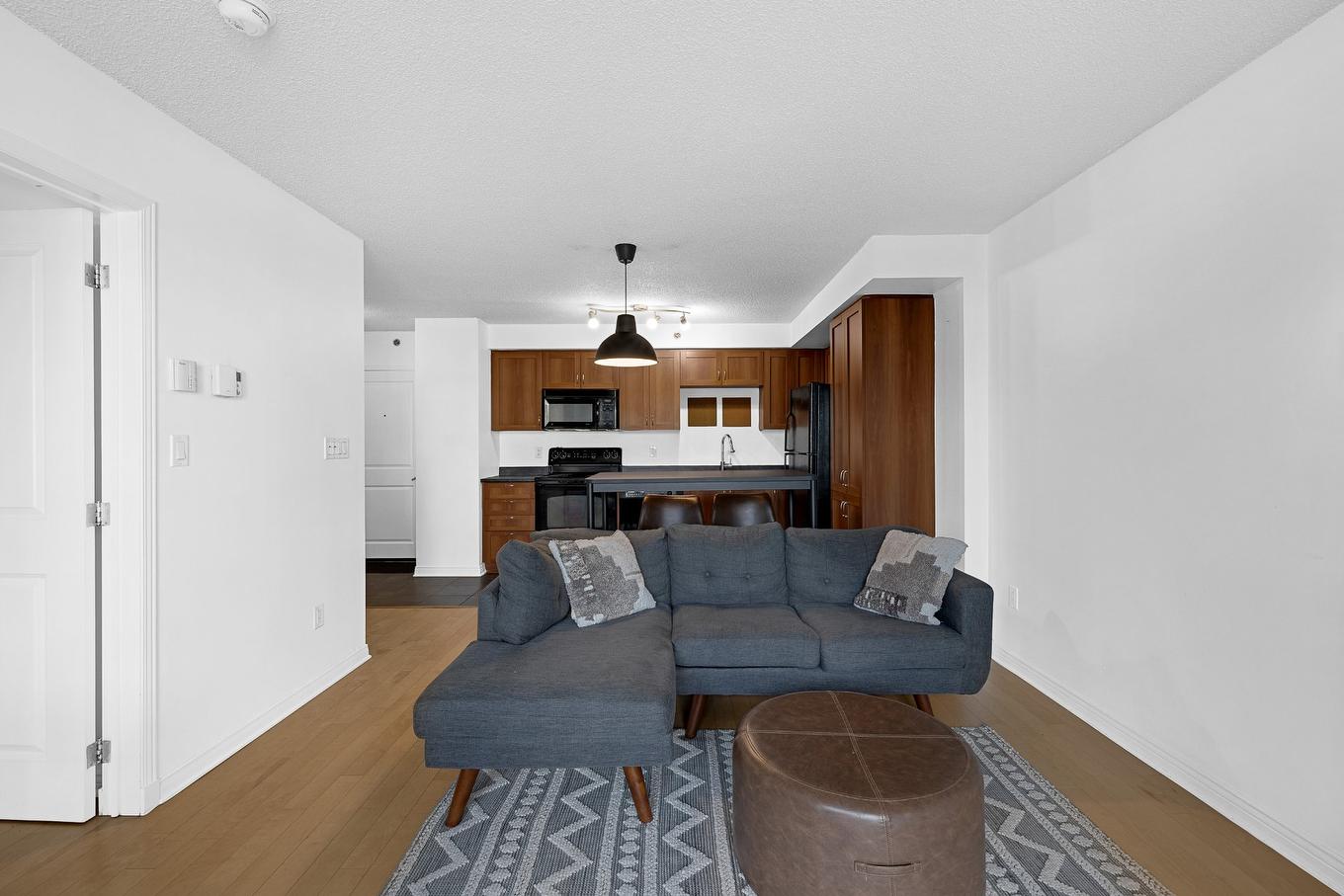 Salon - 206-1200 Rue St-Jacques, Montréal (Ville-Marie), QC - Indoor Photo Showing Living Room