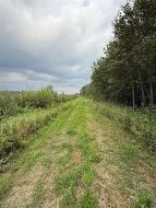 0 PTH 1 HWY Reynolds, MB R0E 0X0