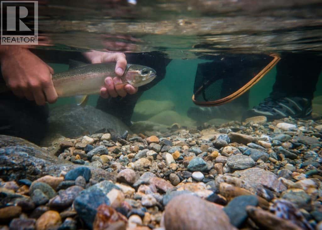 17 Osprey Lane, Lee Creek, BC