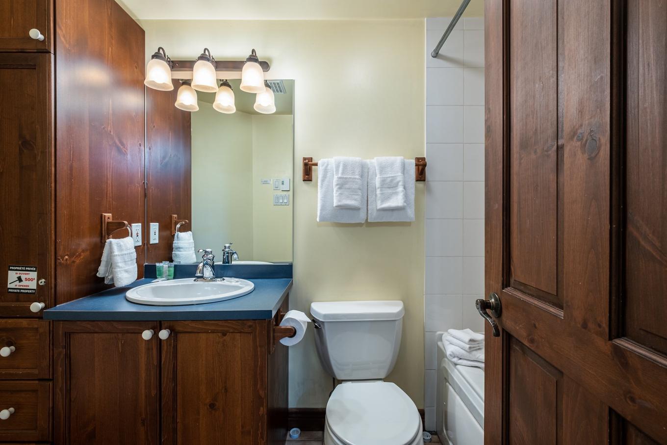 Salle de bains - 3-166 Rue Du Mont-Plaisant, Mont-Tremblant, QC - Indoor Photo Showing Bathroom