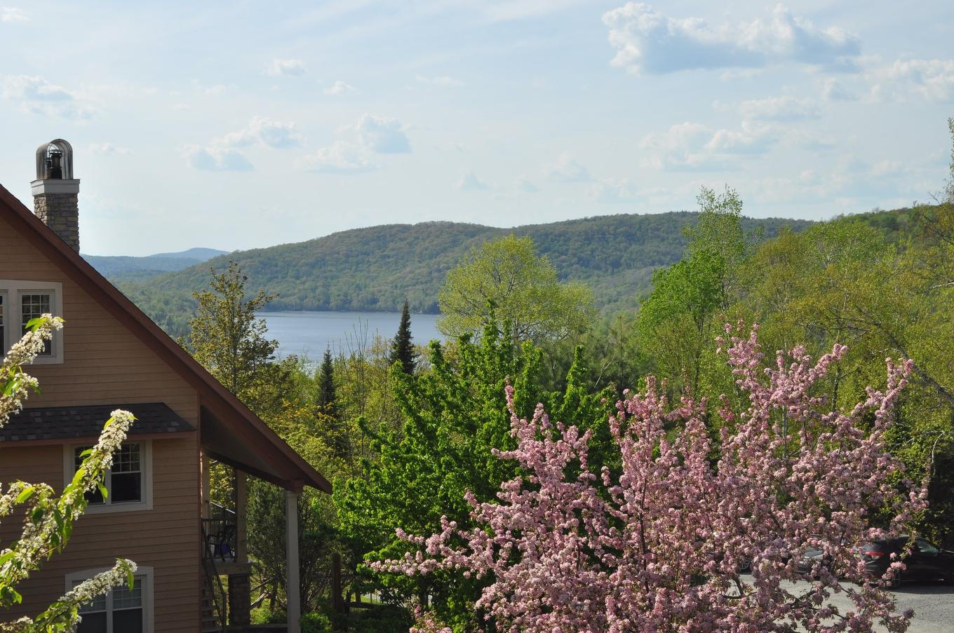Vue sur l'eau - 3-166 Rue Du Mont-Plaisant, Mont-Tremblant, QC - Outdoor With View