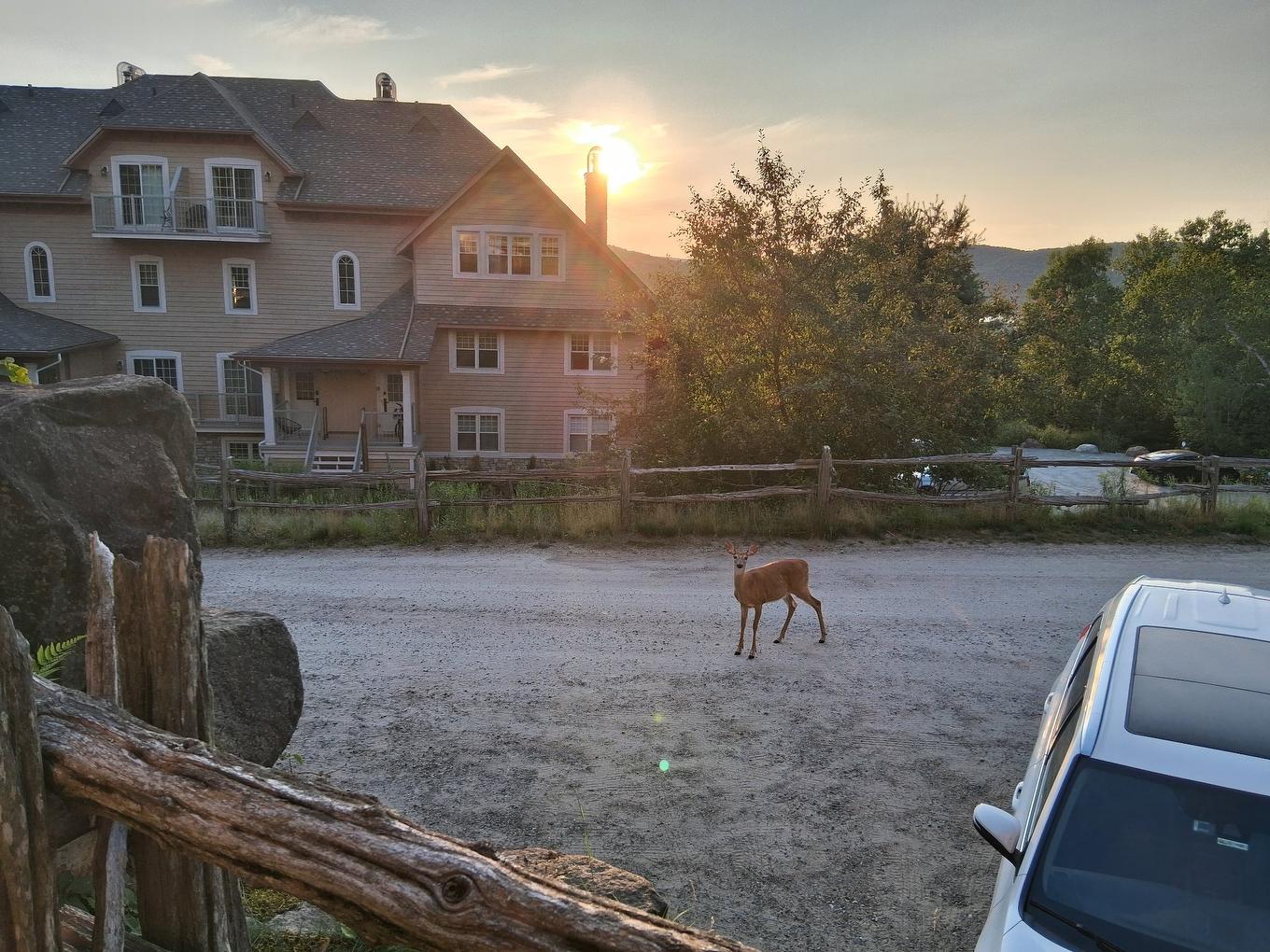 Water view - 3-166 Rue Du Mont-Plaisant, Mont-Tremblant, QC - Outdoor