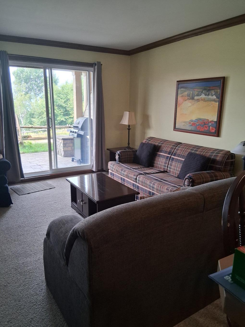 Salon - 3-166 Rue Du Mont-Plaisant, Mont-Tremblant, QC - Indoor Photo Showing Living Room