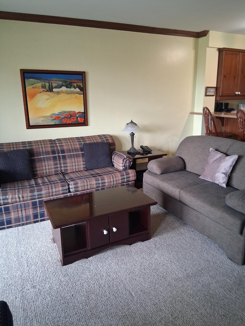 Salon - 3-166 Rue Du Mont-Plaisant, Mont-Tremblant, QC - Indoor Photo Showing Living Room