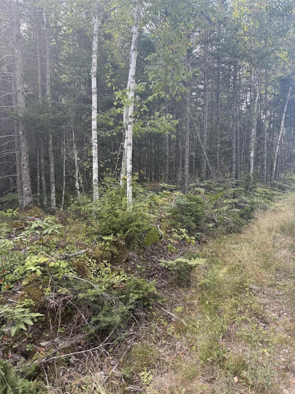 Lot Bm-39 Portapique Crescent, Portapique, NS