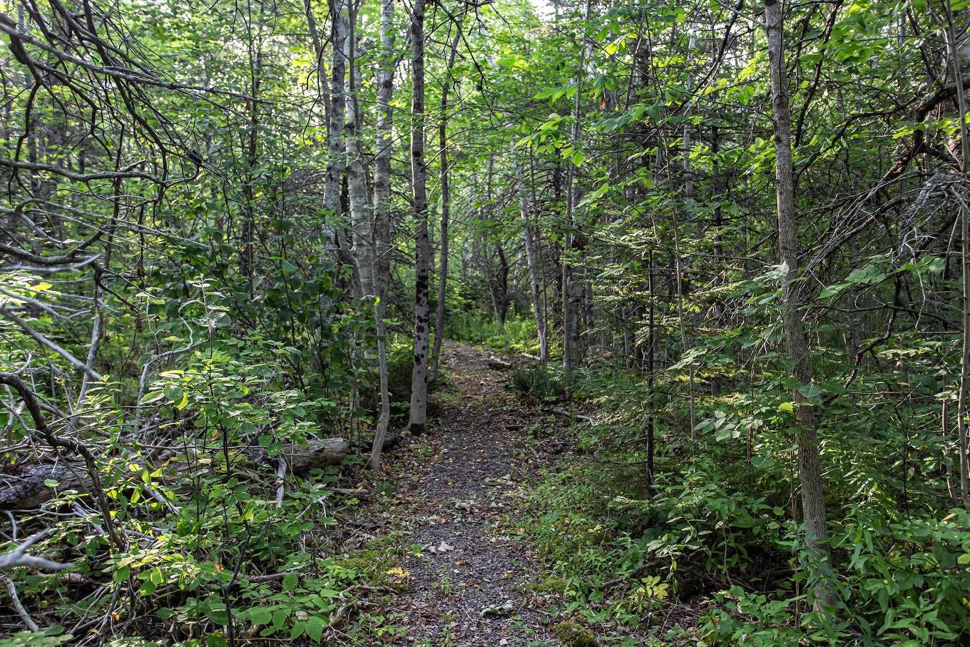 Lot Ben Phinney Road, Forest Glade, NS