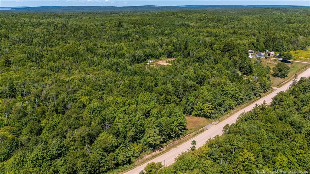 Woodlot Route 935, Rockport, NB