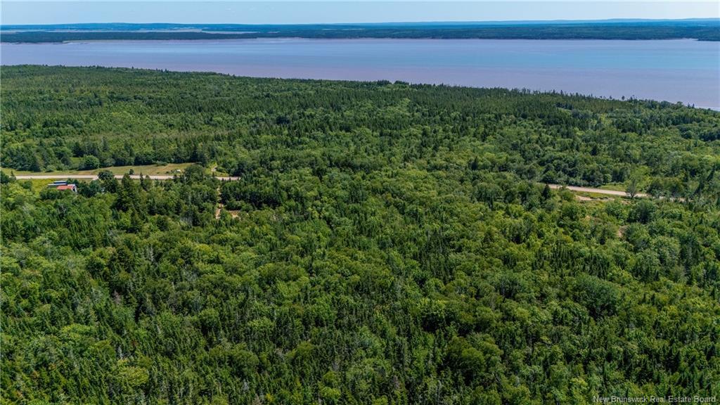 Woodlot Route 935, Rockport, NB