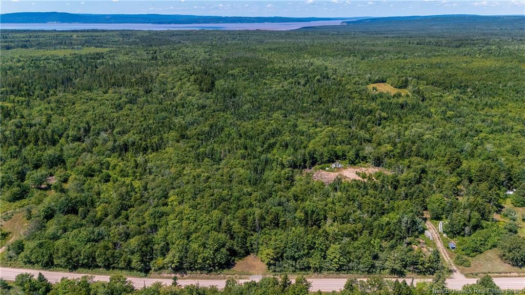 Woodlot Route 935, Rockport, NB