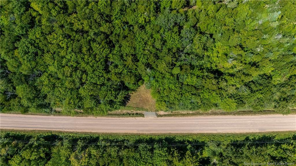 Woodlot Route 935, Rockport, NB