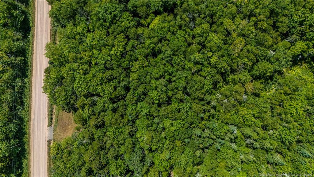 Woodlot Route 935, Rockport, NB