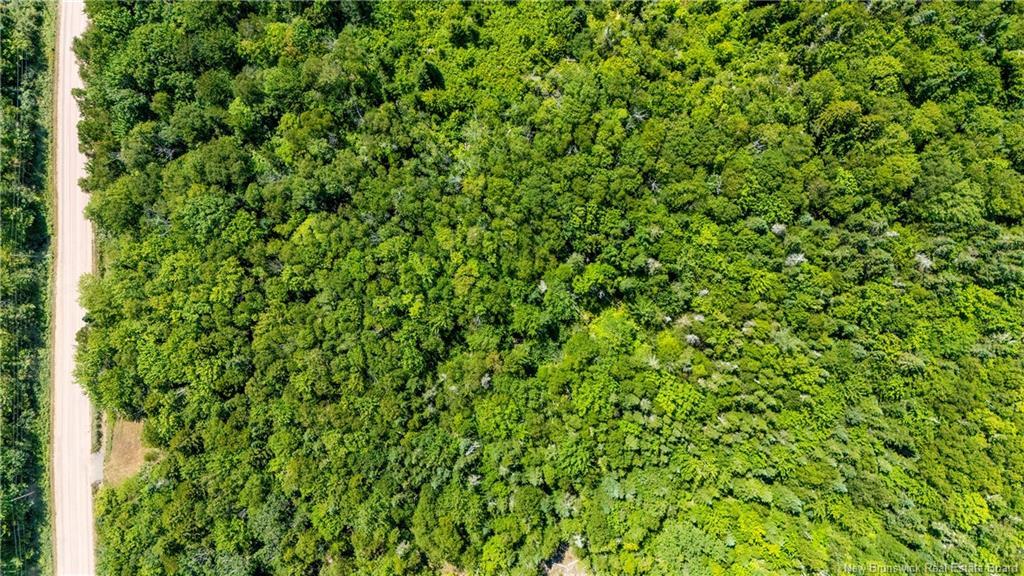 Woodlot Route 935, Rockport, NB