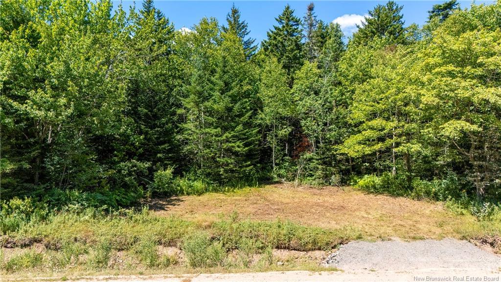 Woodlot Route 935, Rockport, NB