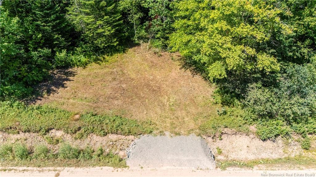 Woodlot Route 935, Rockport, NB