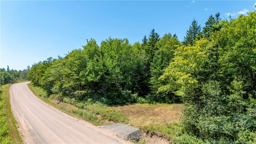 Woodlot Route 935, Rockport, NB