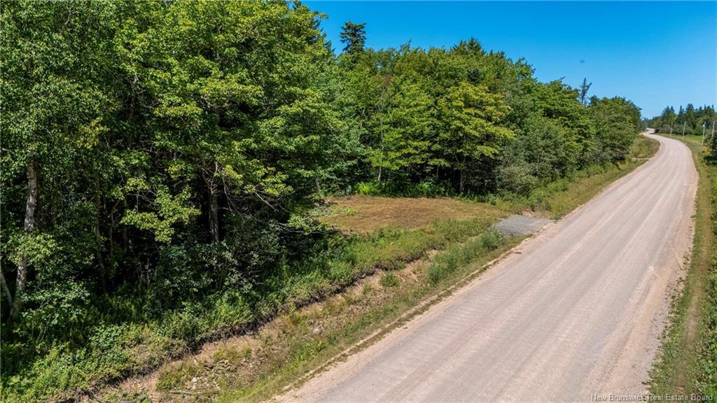 Woodlot Route 935, Rockport, NB