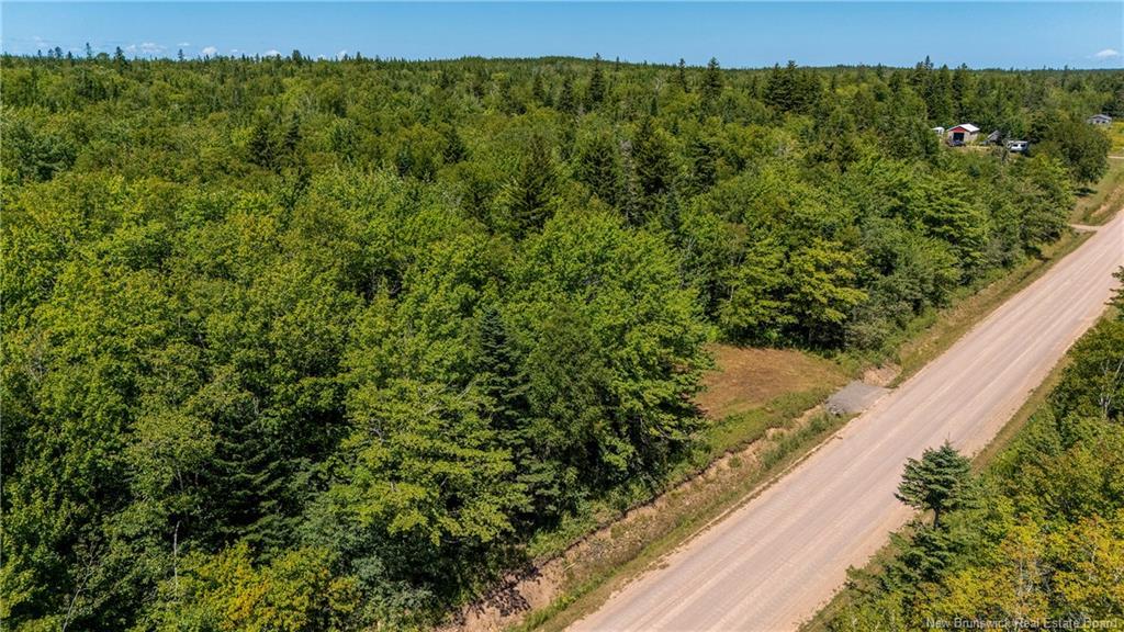 Woodlot Route 935, Rockport, NB