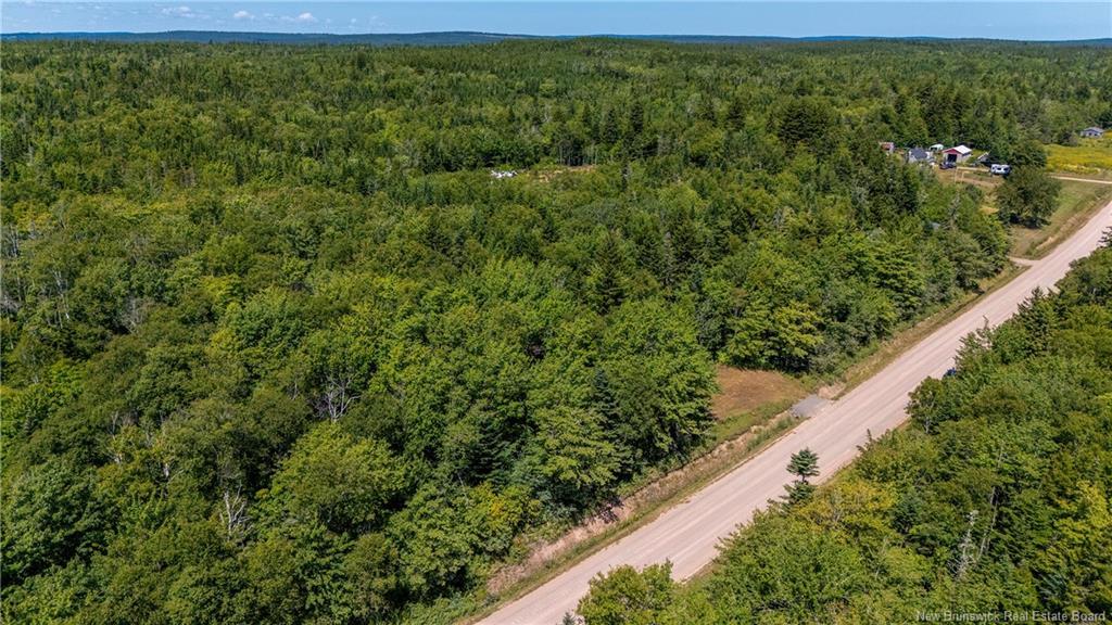 Woodlot Route 935, Rockport, NB