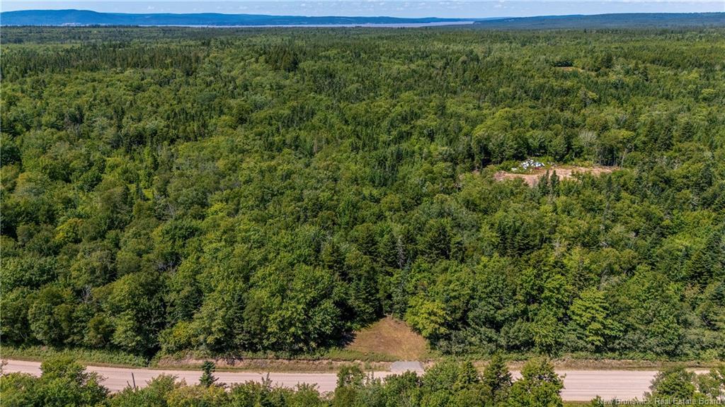 Woodlot Route 935, Rockport, NB