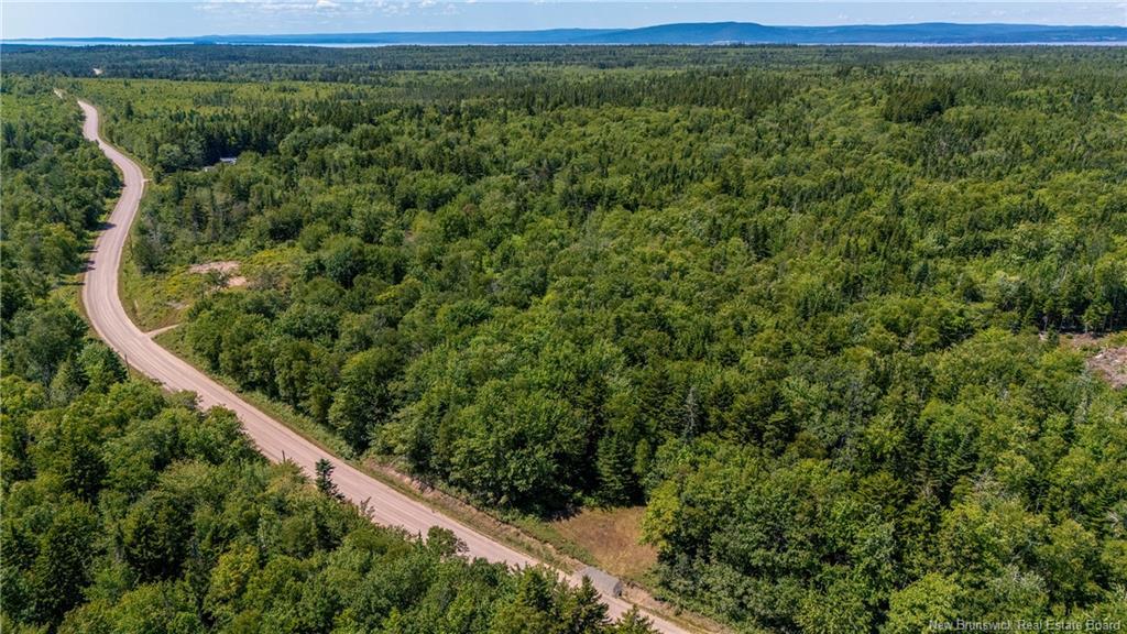 Woodlot Route 935, Rockport, NB