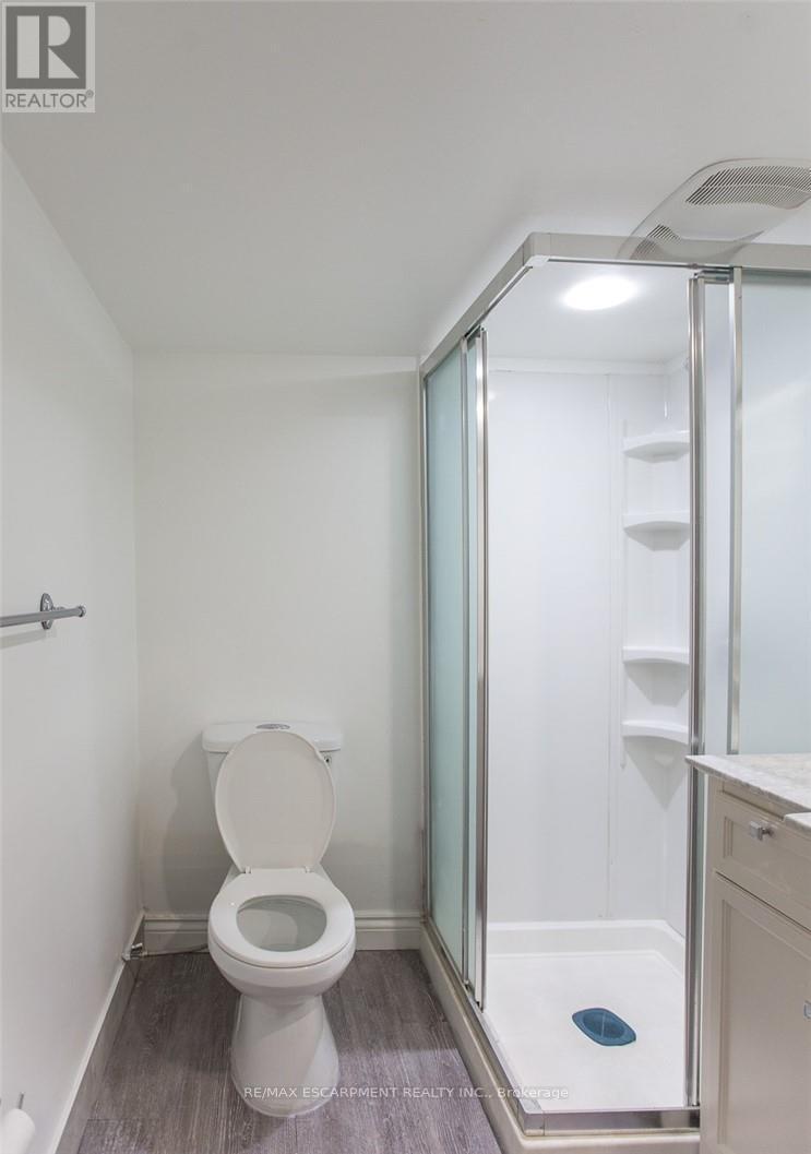 346 Hughson Street N, Hamilton, ON - Indoor Photo Showing Bathroom