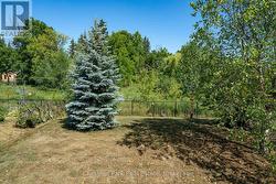 Landscaped partially fenced back yard -