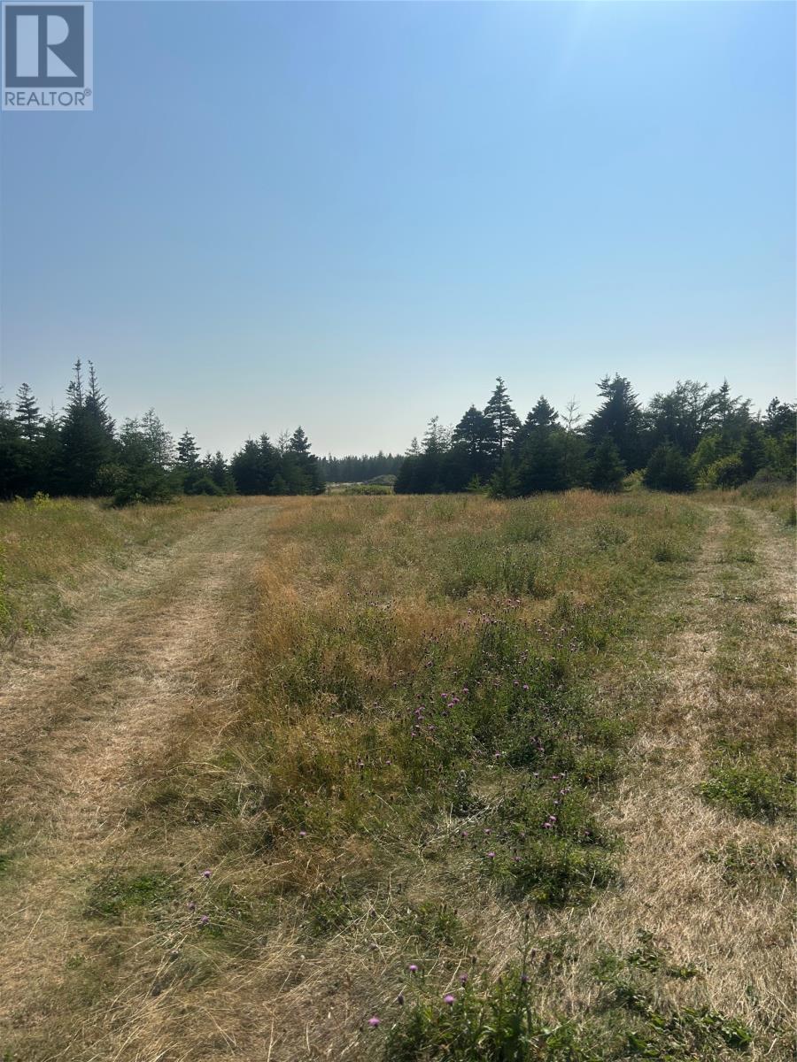 0 Beaver Pond Road Road, Roaches Line, NL