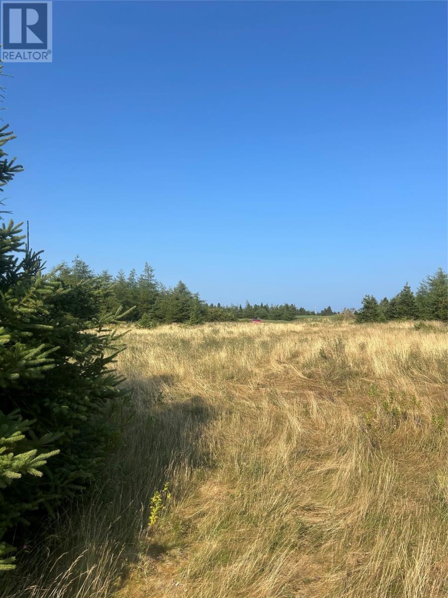 0 Beaver Pond Road Road, Roaches Line, NL