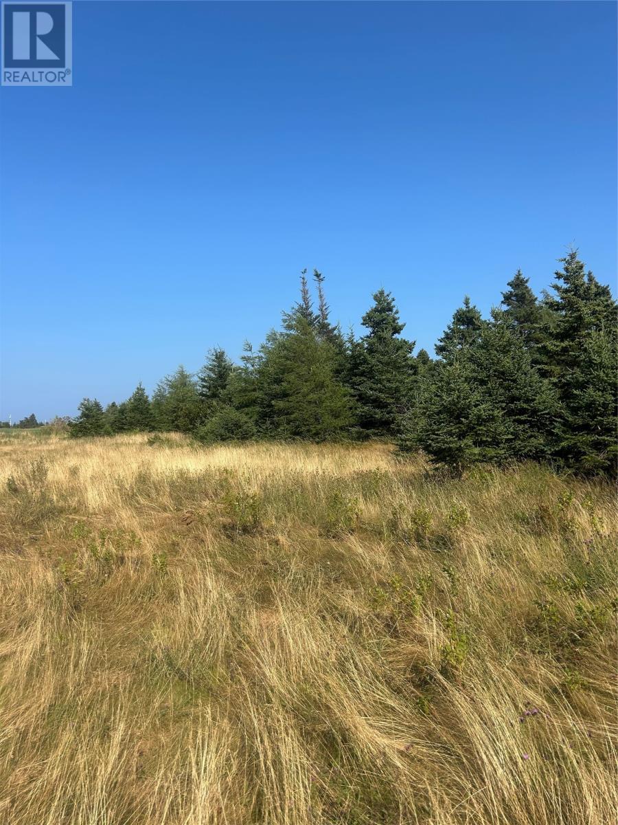 0 Beaver Pond Road Road, Roaches Line, NL