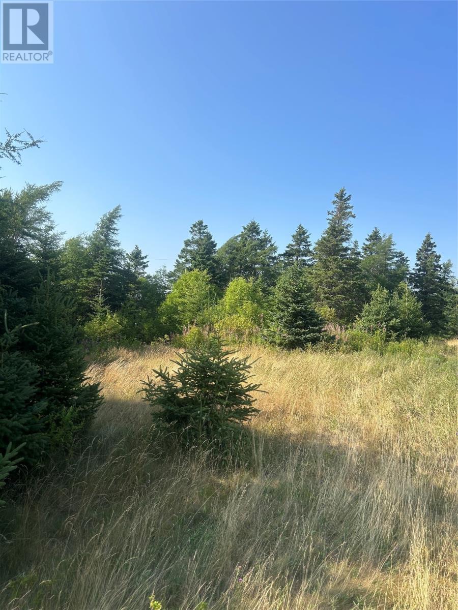 0 Beaver Pond Road Road, Roaches Line, NL