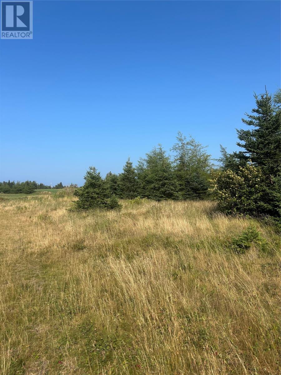 0 Beaver Pond Road Road, Roaches Line, NL