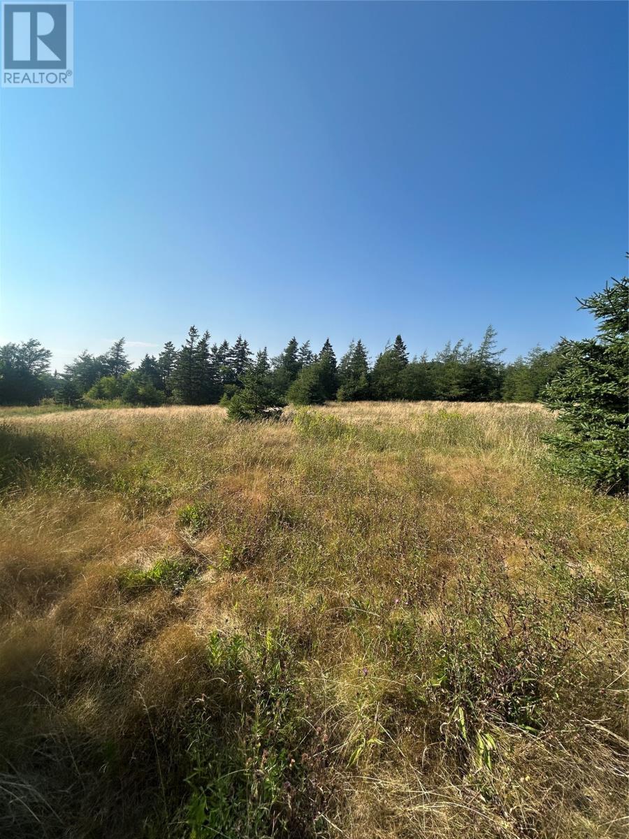 0 Beaver Pond Road Road, Roaches Line, NL