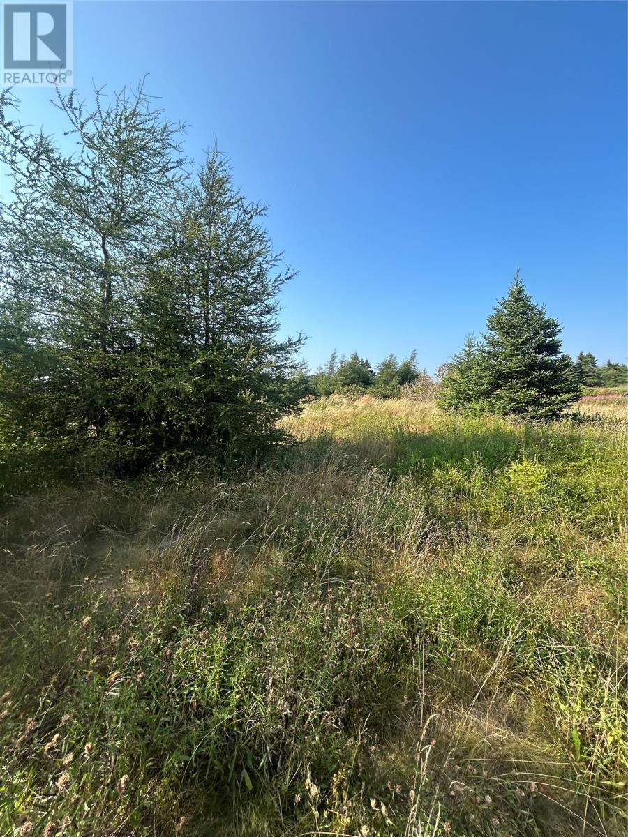0 Beaver Pond Road Road, Roaches Line, NL