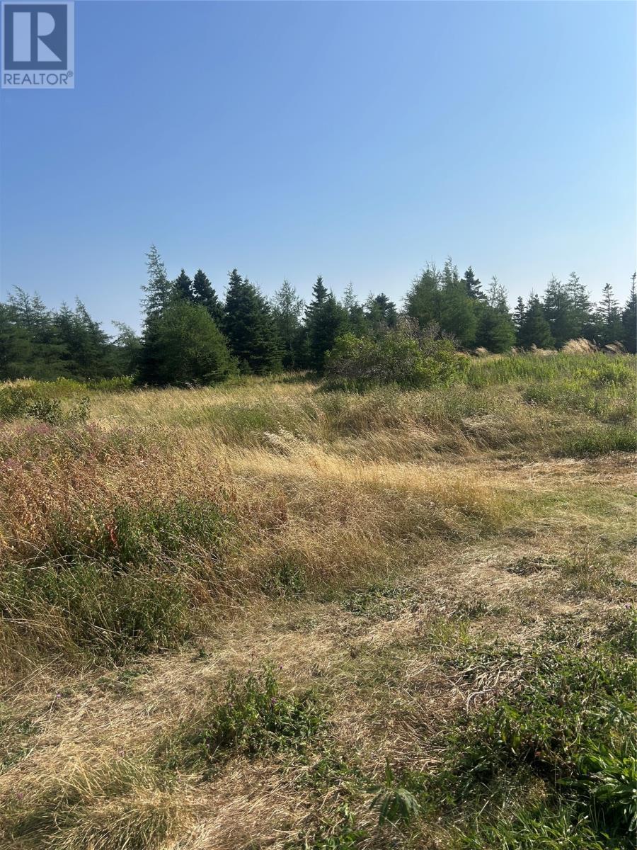 0 Beaver Pond Road Road, Roaches Line, NL