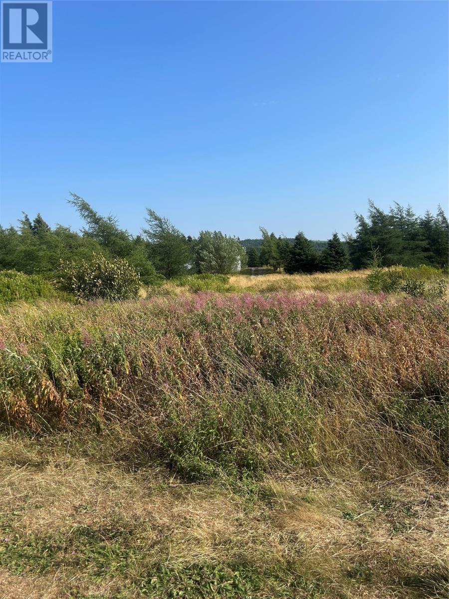 0 Beaver Pond Road Road, Roaches Line, NL