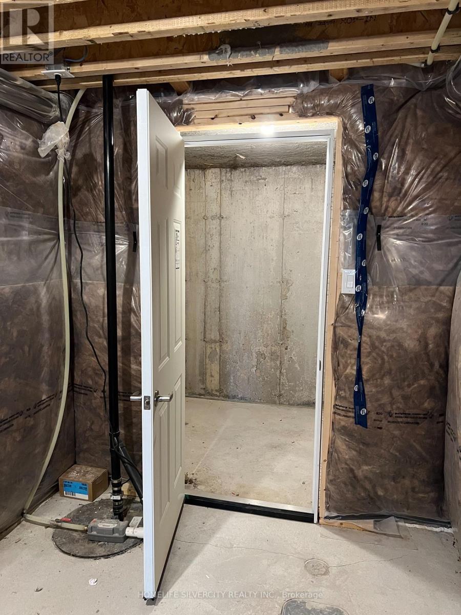 178 Seeley Avenue, Southgate, ON - Indoor Photo Showing Basement