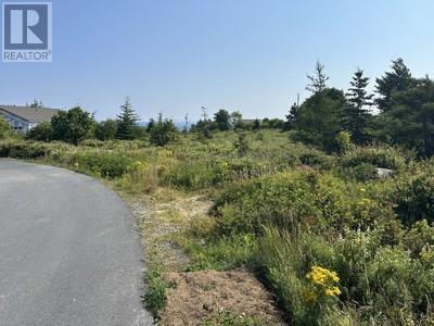 12-32 Blueberry Road, Bryants Cove, NL